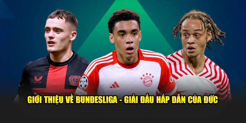 Giới thiệu về Bundesliga - Giải đấu hấp dẫn của Đức