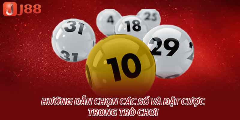 Hướng dẫn chọn các số và đặt cược trong trò chơi